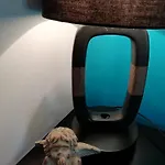Guest house A La