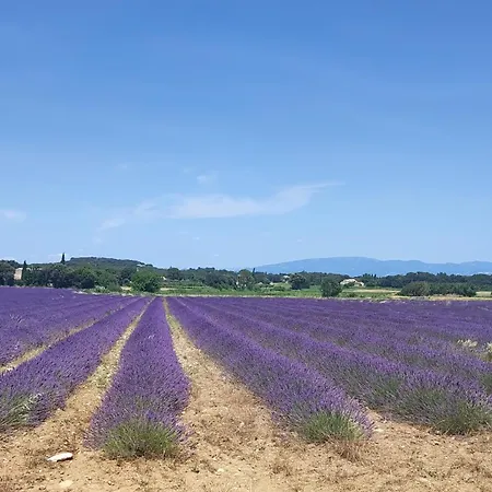 Pensjonat A La